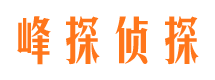 兴县外遇出轨调查取证